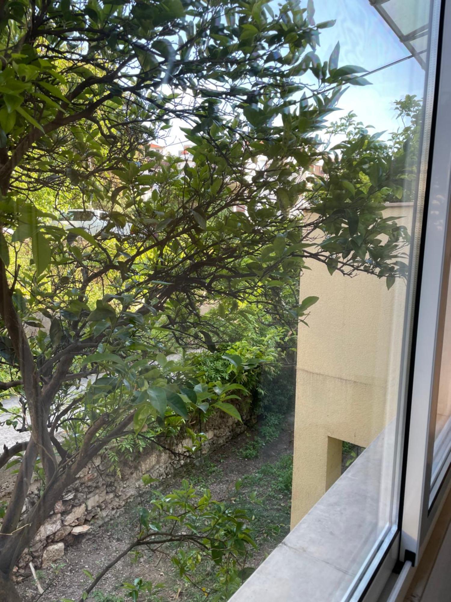 ילסה Apartmani Isabella - Ilda Radonic מראה חיצוני תמונה